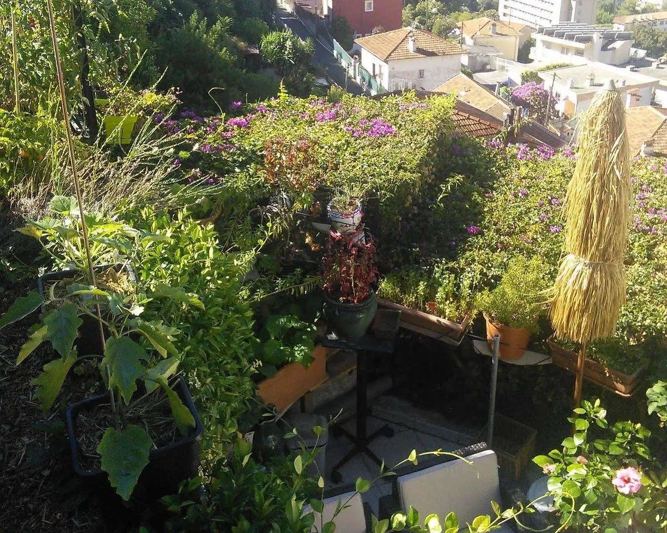 Le Panoramic Boutique Hotel Nice