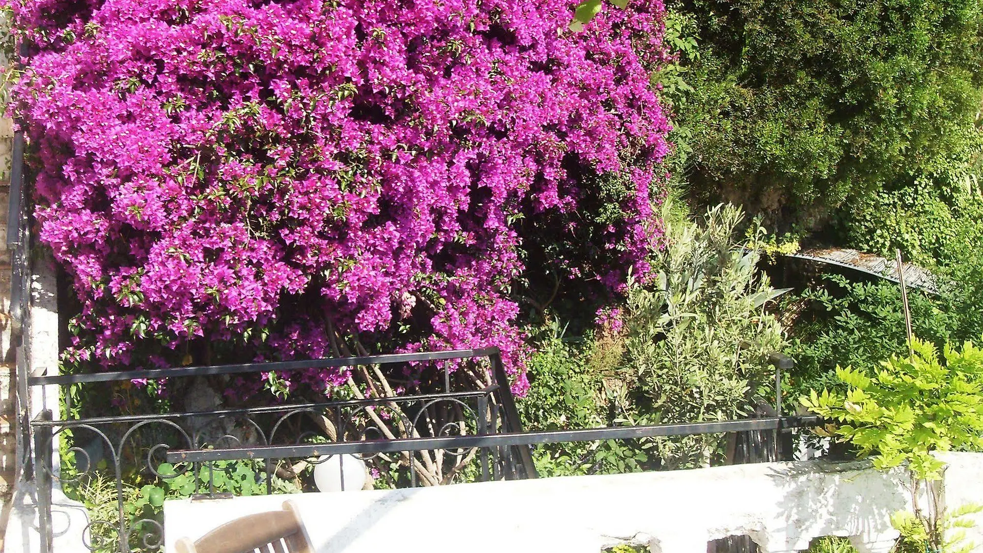 Le Panoramic Boutique Hotel Nice Frankrig